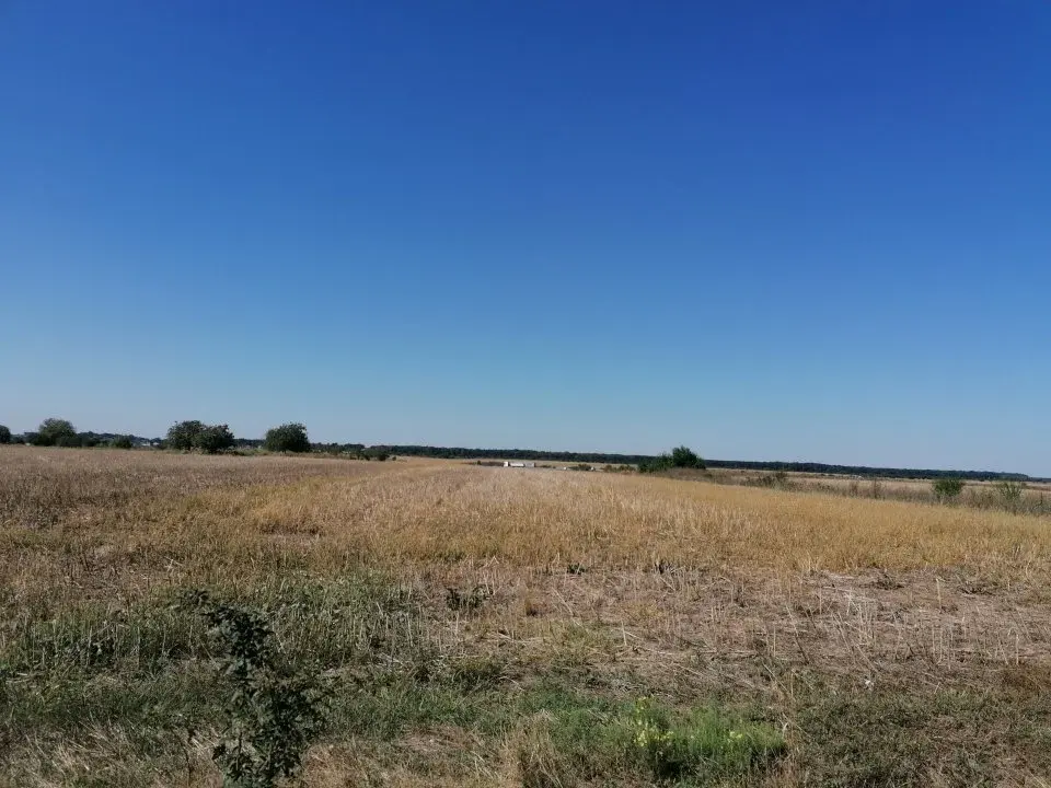 Teren Moara Vlasiei  11200 mp acces rapid la Nod Autostrada A3 img 5